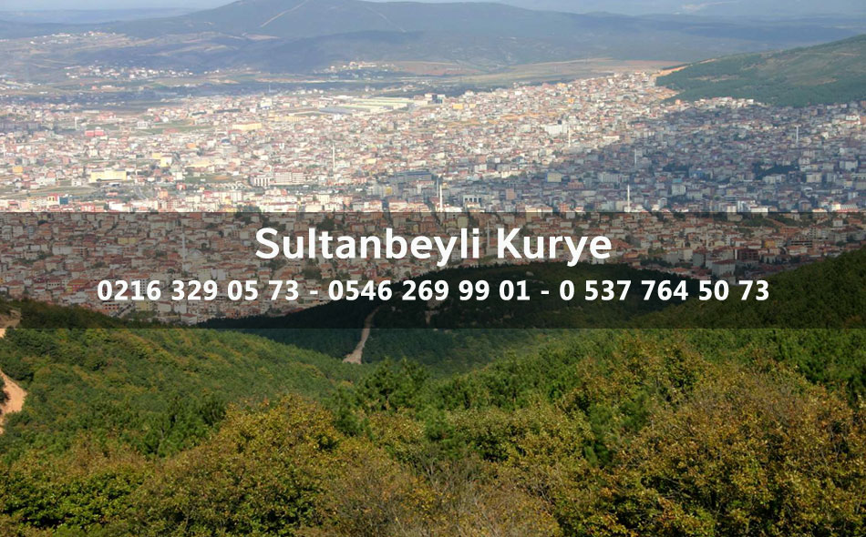 Sultanbeyli Kurye